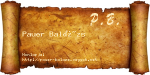 Pauer Balázs névjegykártya